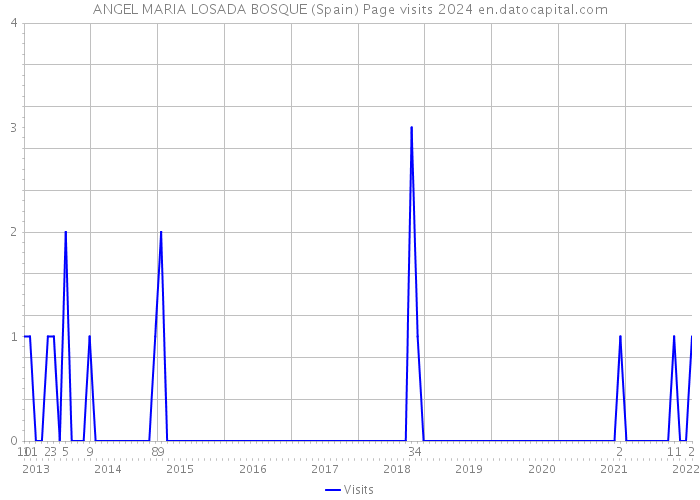 ANGEL MARIA LOSADA BOSQUE (Spain) Page visits 2024 