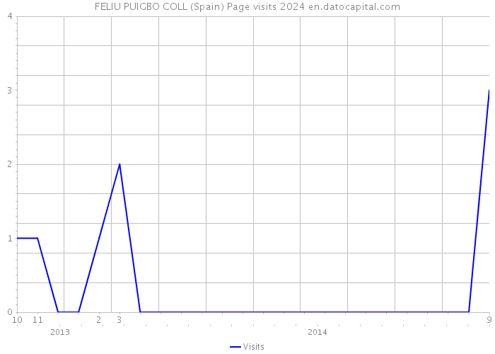 FELIU PUIGBO COLL (Spain) Page visits 2024 