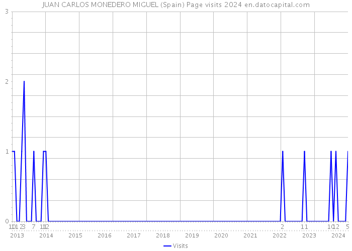 JUAN CARLOS MONEDERO MIGUEL (Spain) Page visits 2024 