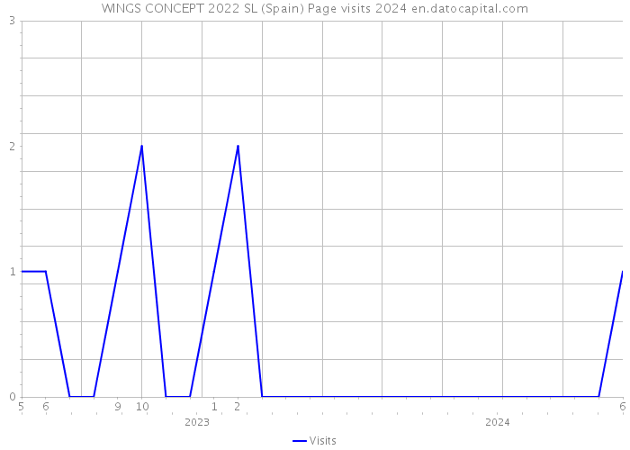 WINGS CONCEPT 2022 SL (Spain) Page visits 2024 