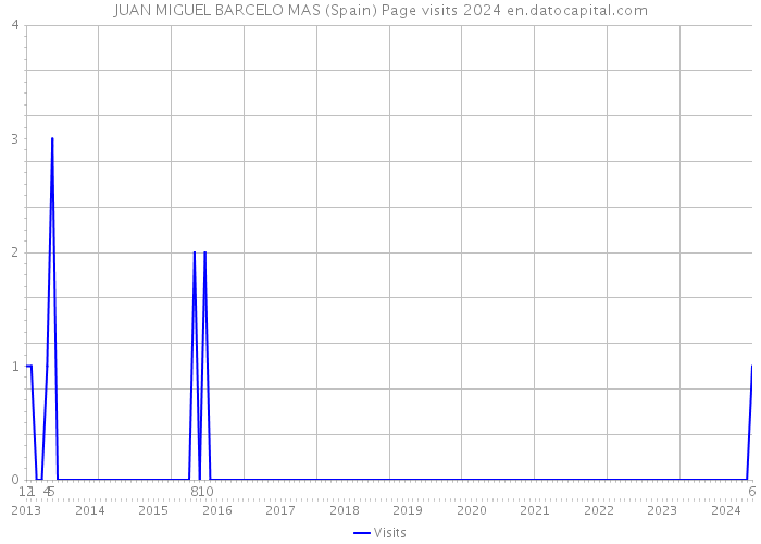 JUAN MIGUEL BARCELO MAS (Spain) Page visits 2024 