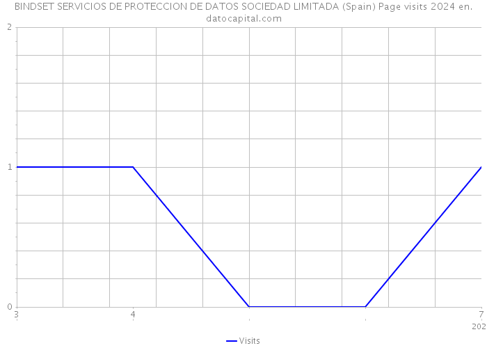 BINDSET SERVICIOS DE PROTECCION DE DATOS SOCIEDAD LIMITADA (Spain) Page visits 2024 