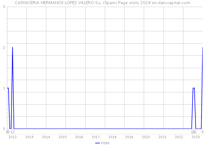 CARNICERIA HERMANOS LOPEZ VALERO S.L. (Spain) Page visits 2024 