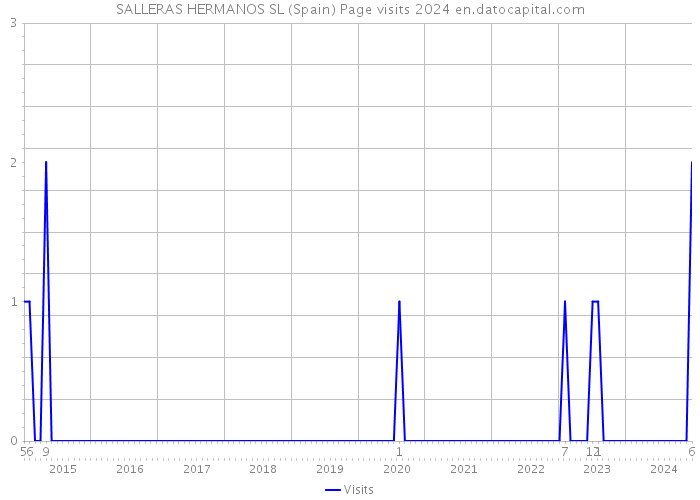 SALLERAS HERMANOS SL (Spain) Page visits 2024 