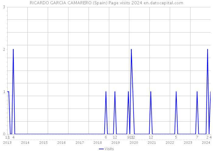 RICARDO GARCIA CAMARERO (Spain) Page visits 2024 