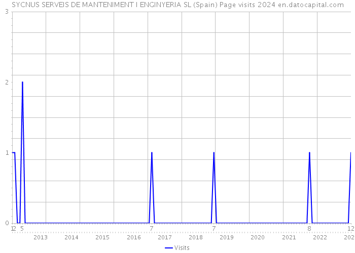 SYCNUS SERVEIS DE MANTENIMENT I ENGINYERIA SL (Spain) Page visits 2024 