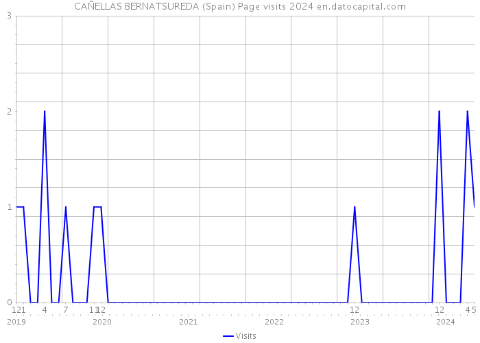 CAÑELLAS BERNATSUREDA (Spain) Page visits 2024 