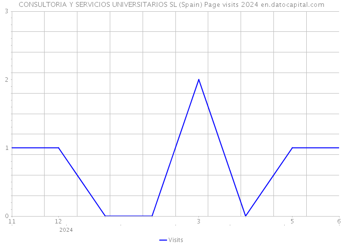 CONSULTORIA Y SERVICIOS UNIVERSITARIOS SL (Spain) Page visits 2024 