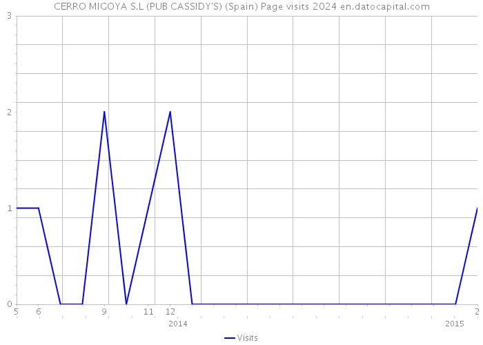 CERRO MIGOYA S.L (PUB CASSIDY'S) (Spain) Page visits 2024 