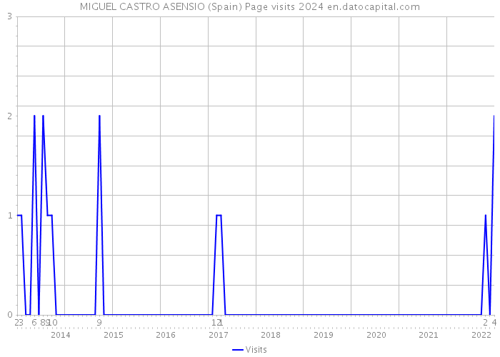 MIGUEL CASTRO ASENSIO (Spain) Page visits 2024 