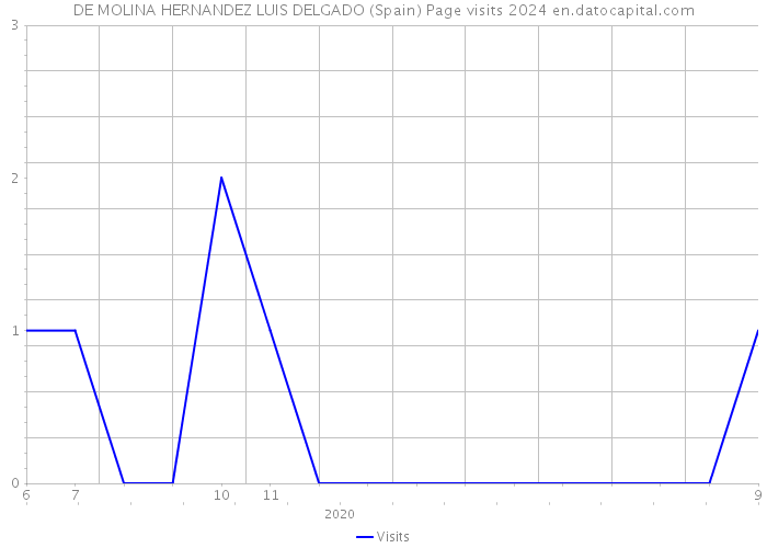 DE MOLINA HERNANDEZ LUIS DELGADO (Spain) Page visits 2024 