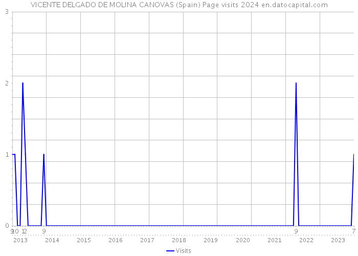 VICENTE DELGADO DE MOLINA CANOVAS (Spain) Page visits 2024 