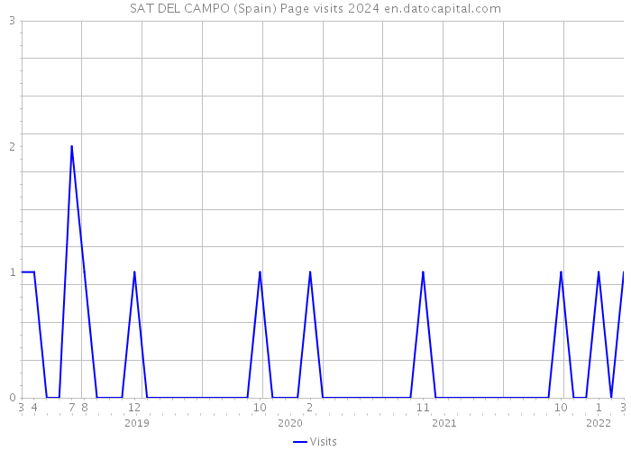 SAT DEL CAMPO (Spain) Page visits 2024 