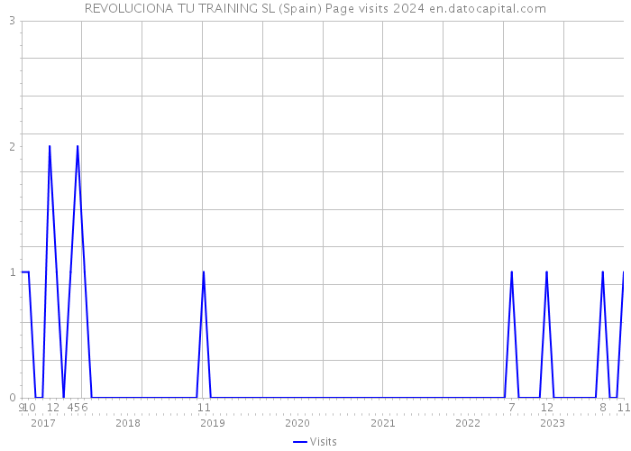 REVOLUCIONA TU TRAINING SL (Spain) Page visits 2024 