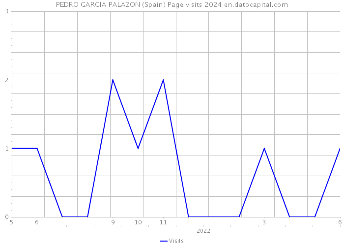 PEDRO GARCIA PALAZON (Spain) Page visits 2024 