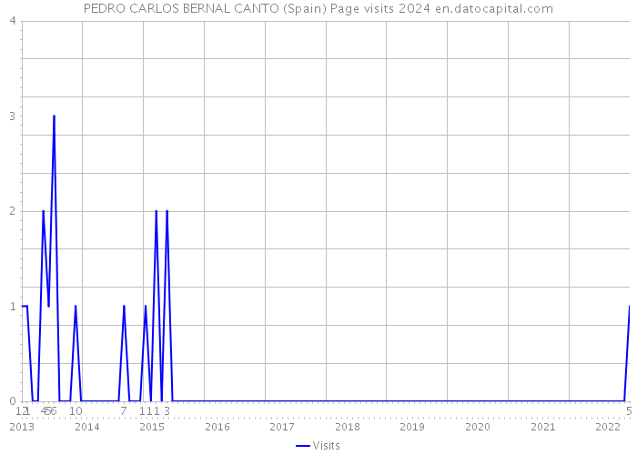 PEDRO CARLOS BERNAL CANTO (Spain) Page visits 2024 