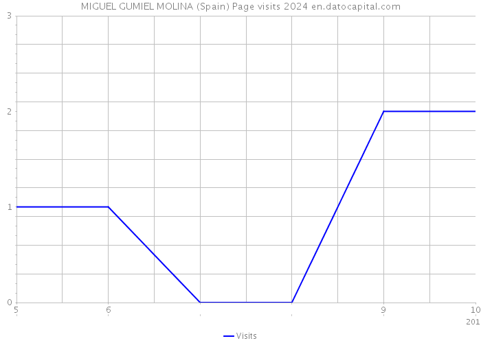 MIGUEL GUMIEL MOLINA (Spain) Page visits 2024 