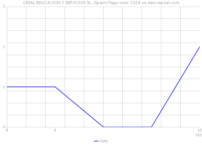 CESAL EDUCACION Y SERVICIOS SL. (Spain) Page visits 2024 