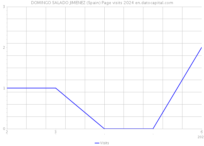 DOMINGO SALADO JIMENEZ (Spain) Page visits 2024 
