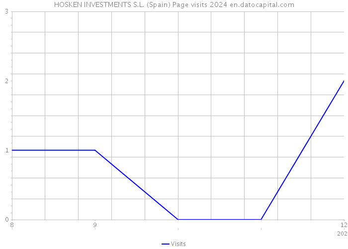 HOSKEN INVESTMENTS S.L. (Spain) Page visits 2024 