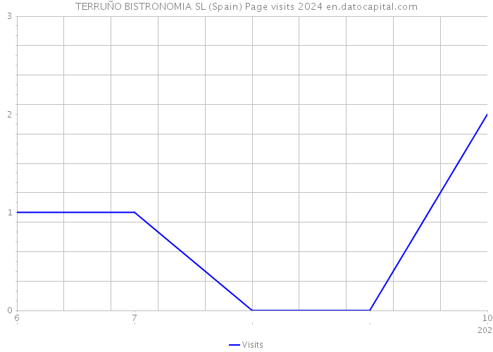 TERRUÑO BISTRONOMIA SL (Spain) Page visits 2024 