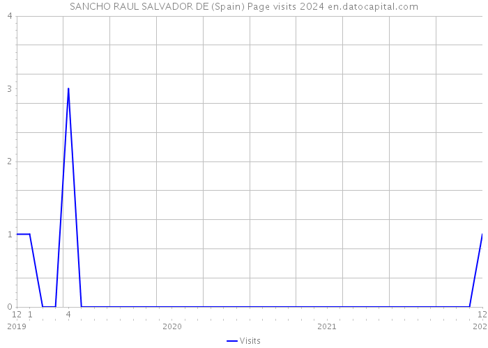 SANCHO RAUL SALVADOR DE (Spain) Page visits 2024 