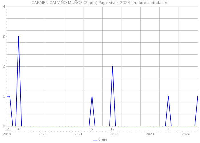 CARMEN CALVIÑO MUÑOZ (Spain) Page visits 2024 