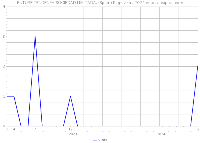 FUTURE TENDENZA SOCIEDAD LIMITADA. (Spain) Page visits 2024 