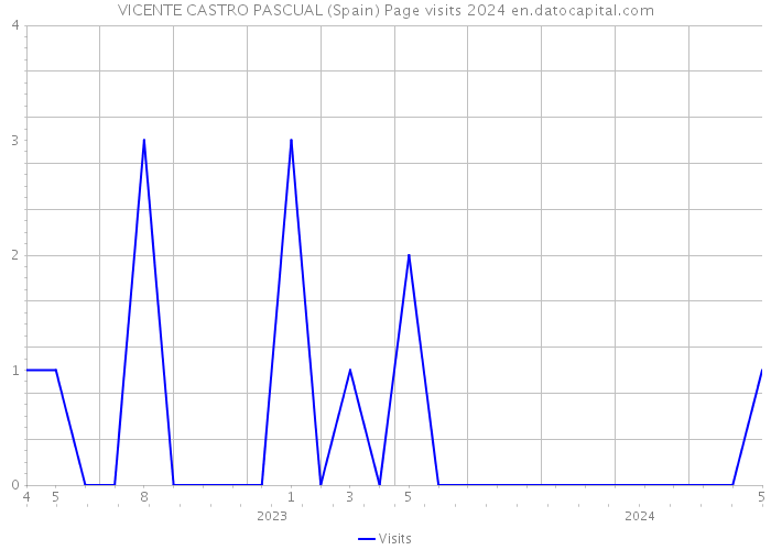 VICENTE CASTRO PASCUAL (Spain) Page visits 2024 