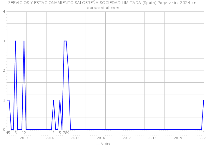 SERVICIOS Y ESTACIONAMIENTO SALOBREÑA SOCIEDAD LIMITADA (Spain) Page visits 2024 