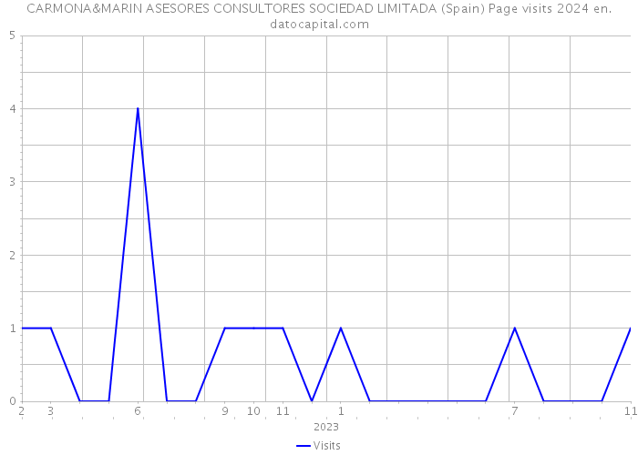 CARMONA&MARIN ASESORES CONSULTORES SOCIEDAD LIMITADA (Spain) Page visits 2024 