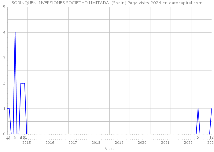 BORINQUEN INVERSIONES SOCIEDAD LIMITADA. (Spain) Page visits 2024 