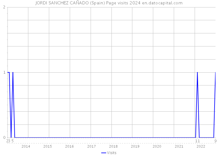 JORDI SANCHEZ CAÑADO (Spain) Page visits 2024 