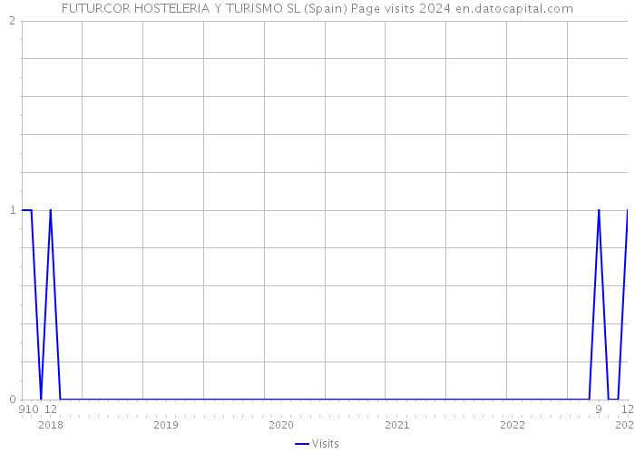 FUTURCOR HOSTELERIA Y TURISMO SL (Spain) Page visits 2024 