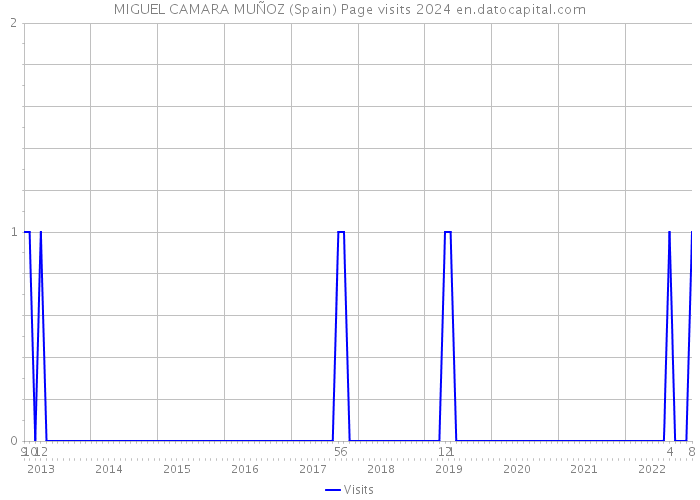 MIGUEL CAMARA MUÑOZ (Spain) Page visits 2024 