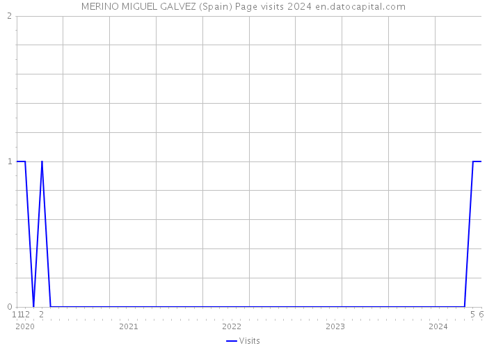 MERINO MIGUEL GALVEZ (Spain) Page visits 2024 