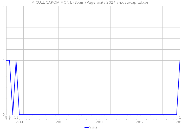 MIGUEL GARCIA MONJE (Spain) Page visits 2024 