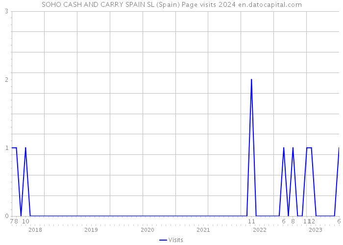 SOHO CASH AND CARRY SPAIN SL (Spain) Page visits 2024 