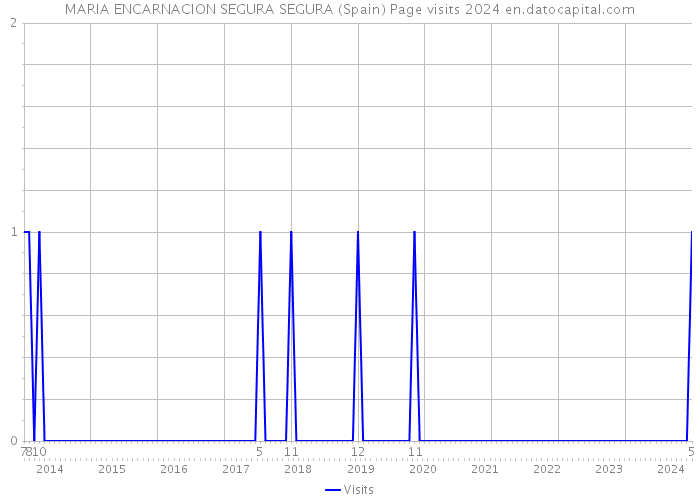 MARIA ENCARNACION SEGURA SEGURA (Spain) Page visits 2024 