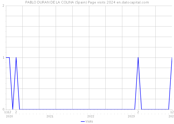 PABLO DURAN DE LA COLINA (Spain) Page visits 2024 