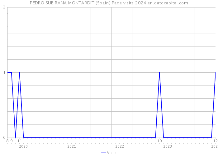 PEDRO SUBIRANA MONTARDIT (Spain) Page visits 2024 