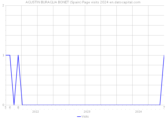 AGUSTIN BURAGLIA BONET (Spain) Page visits 2024 