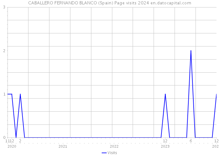 CABALLERO FERNANDO BLANCO (Spain) Page visits 2024 