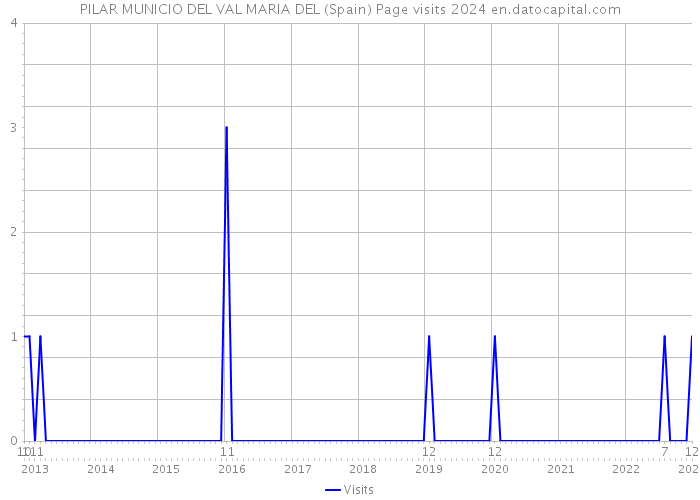 PILAR MUNICIO DEL VAL MARIA DEL (Spain) Page visits 2024 
