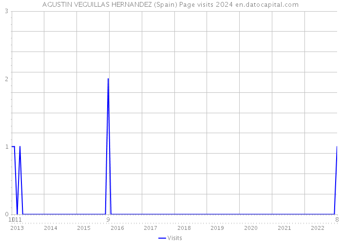 AGUSTIN VEGUILLAS HERNANDEZ (Spain) Page visits 2024 