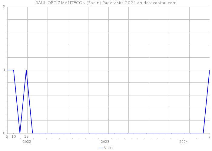 RAUL ORTIZ MANTECON (Spain) Page visits 2024 