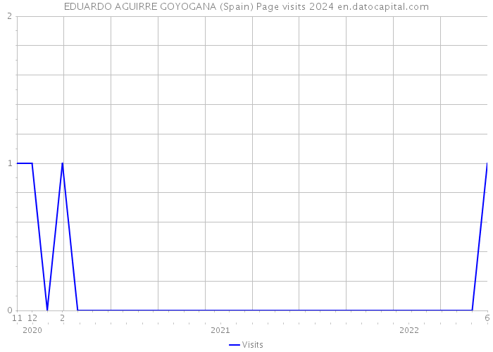 EDUARDO AGUIRRE GOYOGANA (Spain) Page visits 2024 