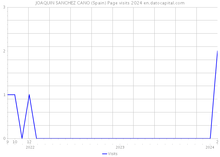 JOAQUIN SANCHEZ CANO (Spain) Page visits 2024 