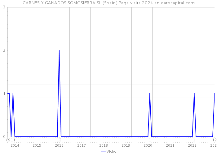 CARNES Y GANADOS SOMOSIERRA SL (Spain) Page visits 2024 