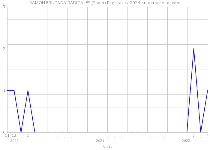 RAMON BRUGADA RADIGALES (Spain) Page visits 2024 